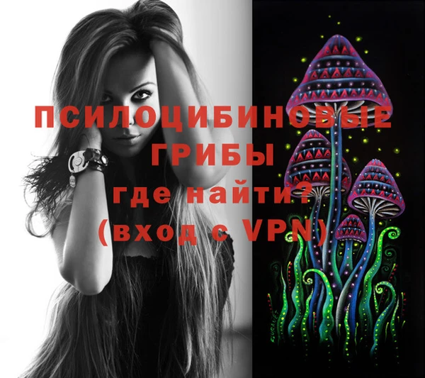 хмурый Балабаново