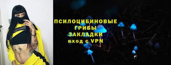 хмурый Балабаново