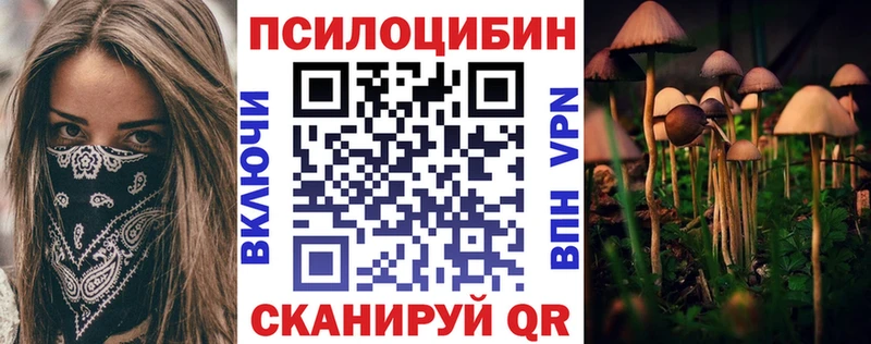 блэк спрут ссылки Бобров Галлюциногенные грибы ЛСД